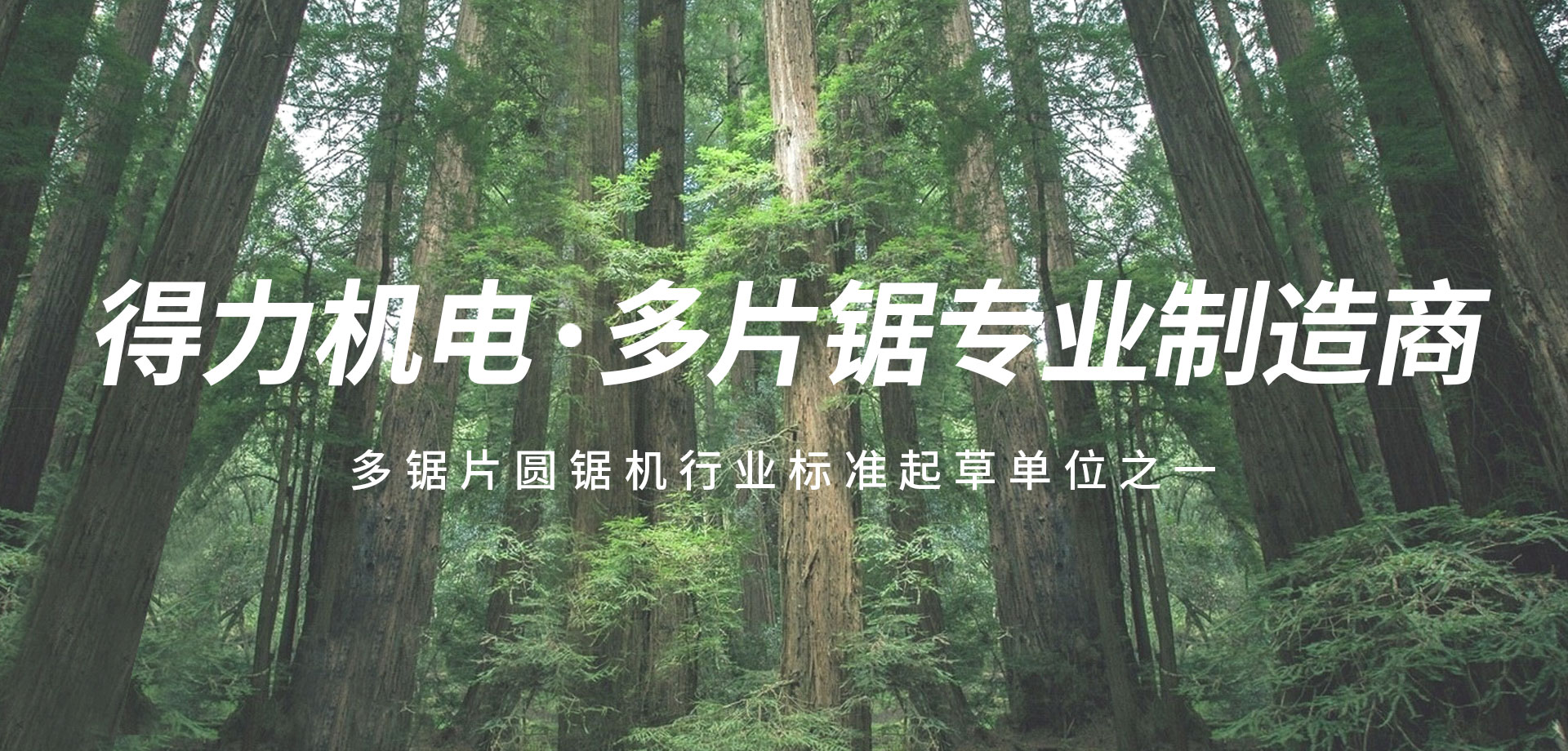 ng体育官方下载地址